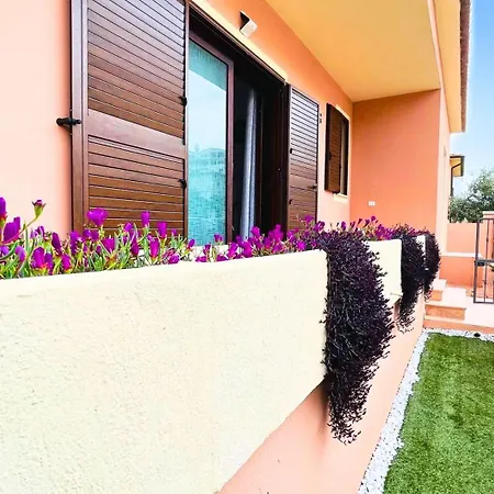 Vela House & Garden Center * 奧爾比亞
